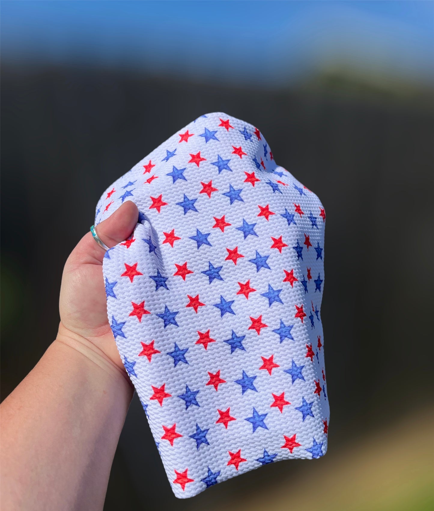 Red & Blue Stars on White Bullet Fabric