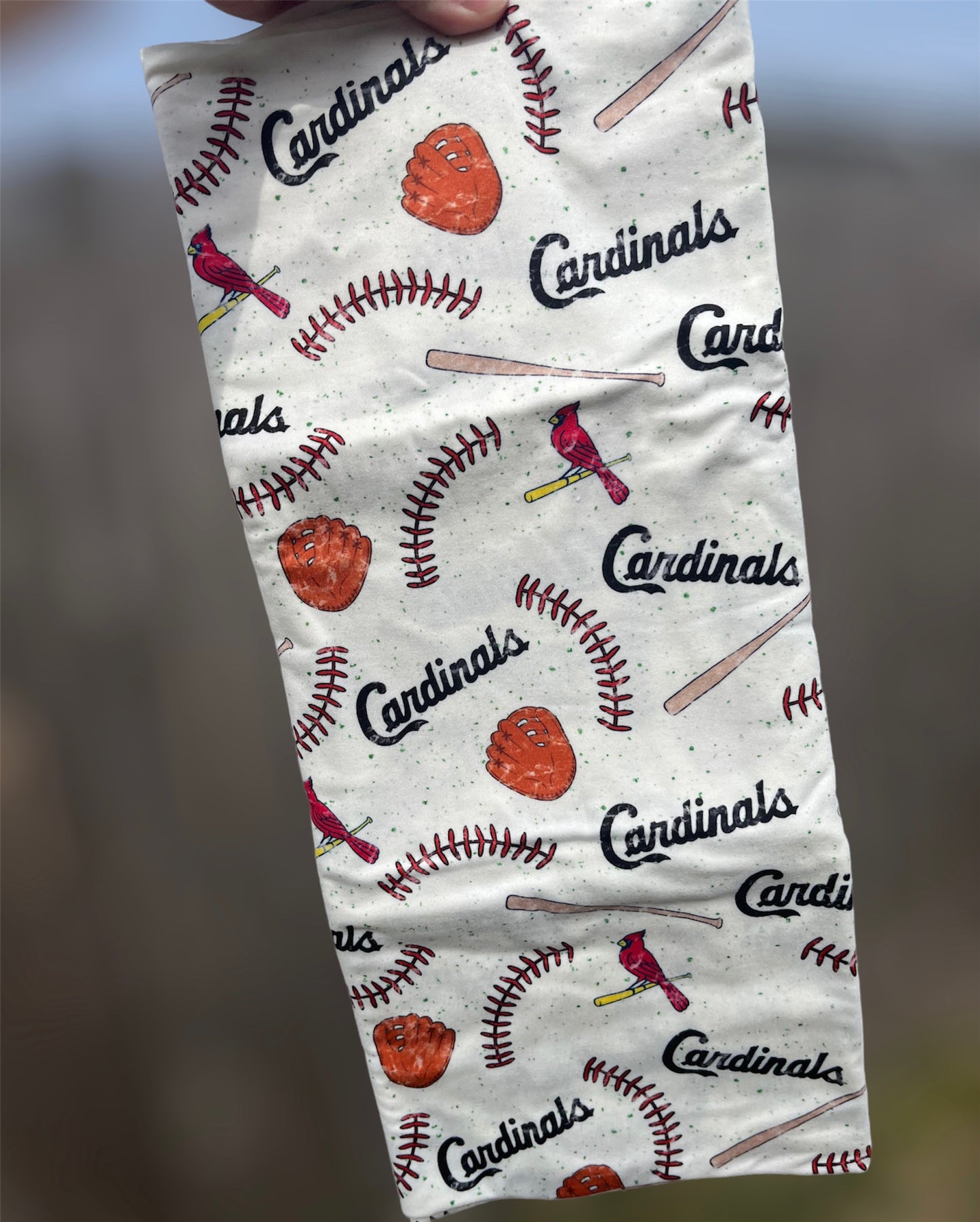 St. L-o-u-i-s Red Bird Baseball